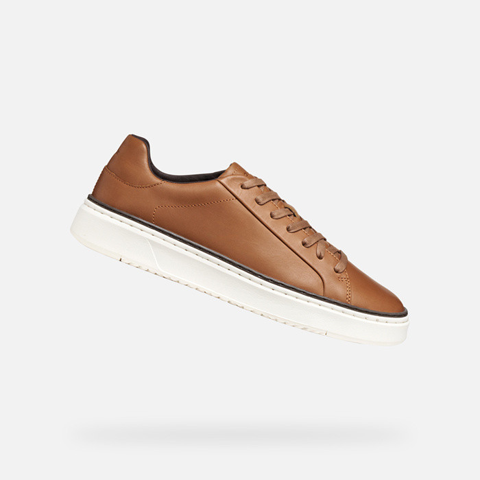 Low top sneakers ZACKERTY MAN Cognac | GEOX