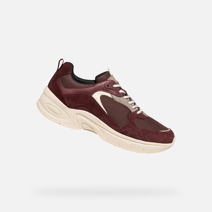 Low top sneakers ZARVIA WOMAN Wine | GEOX